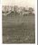 John and Ardelia Bisbee Farm, Madelia, Minnesota, 1923